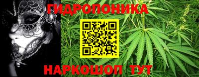 экстази Гатчина