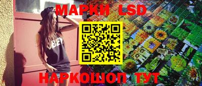 spice Гай